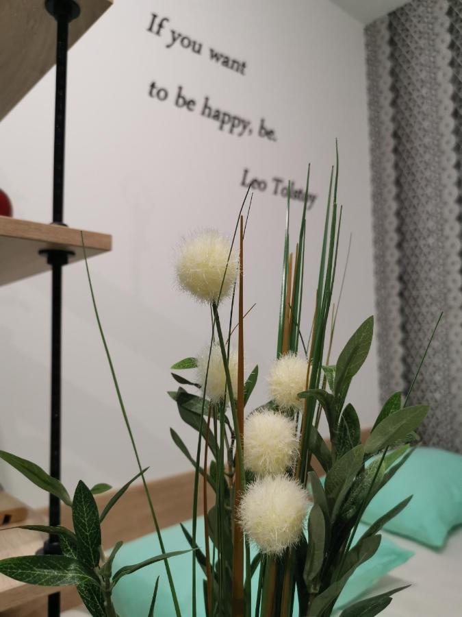Mateja Apartment Нови Сад Екстериор снимка